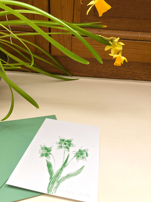 Carte postale, les jonquilles