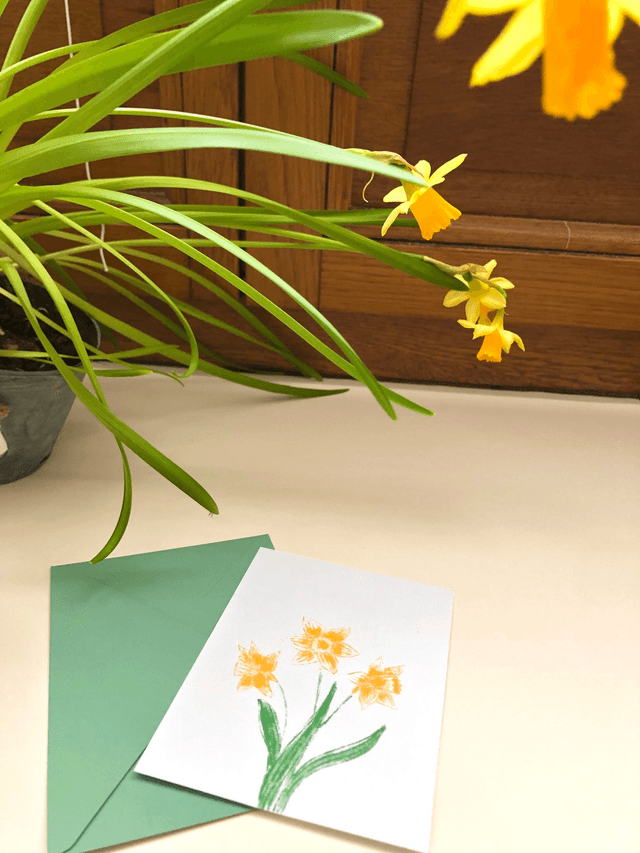 Carte postale, les jonquilles