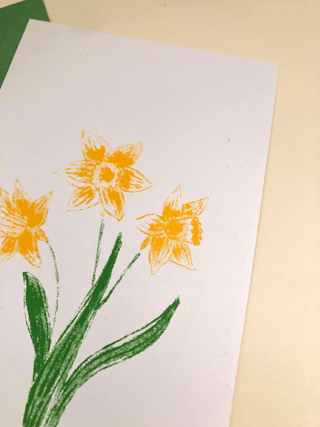 Carte postale, les jonquilles