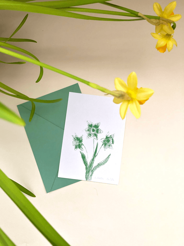 Carte postale, les jonquilles